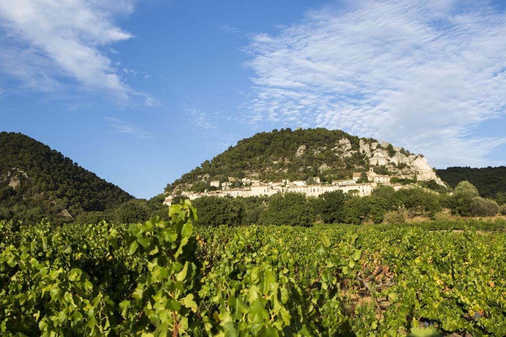 Hotellerie Du Domaine De Cabasse Séguret Zewnętrze zdjęcie