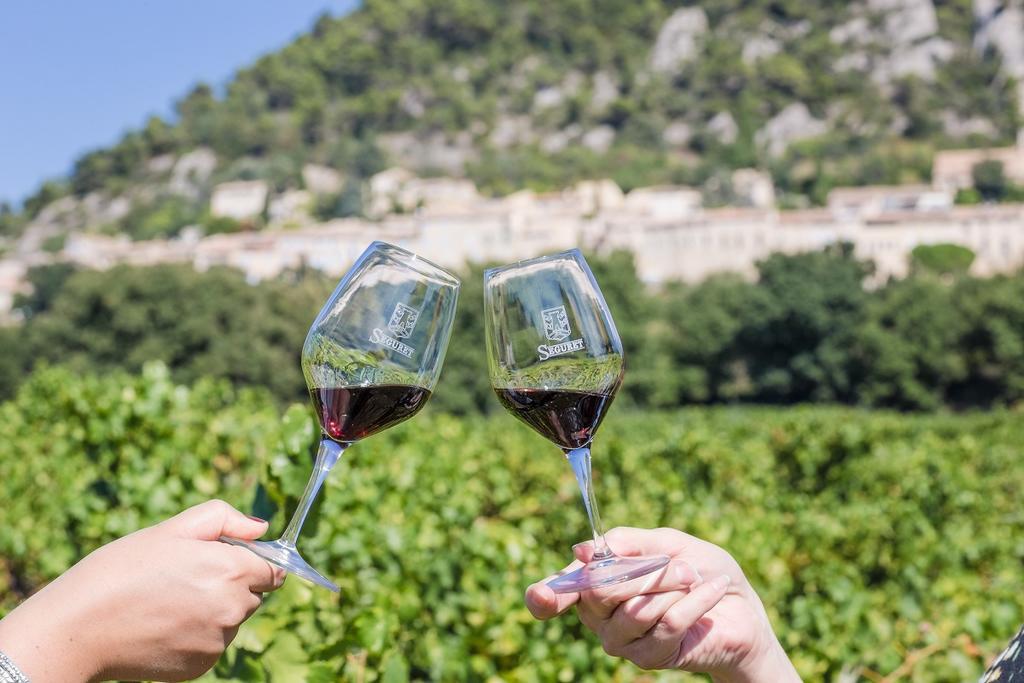 Hotellerie Du Domaine De Cabasse Séguret Zewnętrze zdjęcie